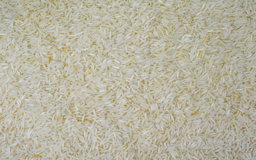 Riz basmati bio : des contreforts de l&rsquo;Himalaya jusqu&rsquo;à l&rsquo;Epi&rsquo;Sciers