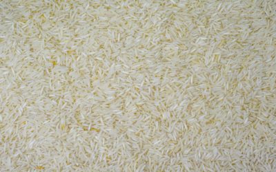 Riz basmati bio : des contreforts de l’Himalaya jusqu’à l’Epi’Sciers