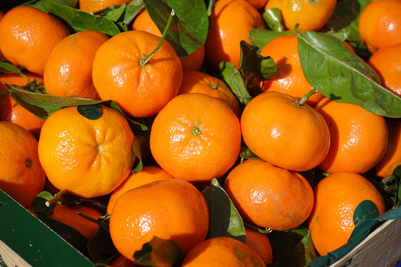 clementines-318210_1280