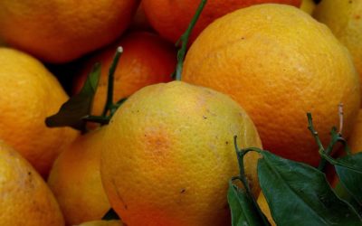 Les oranges sont là !