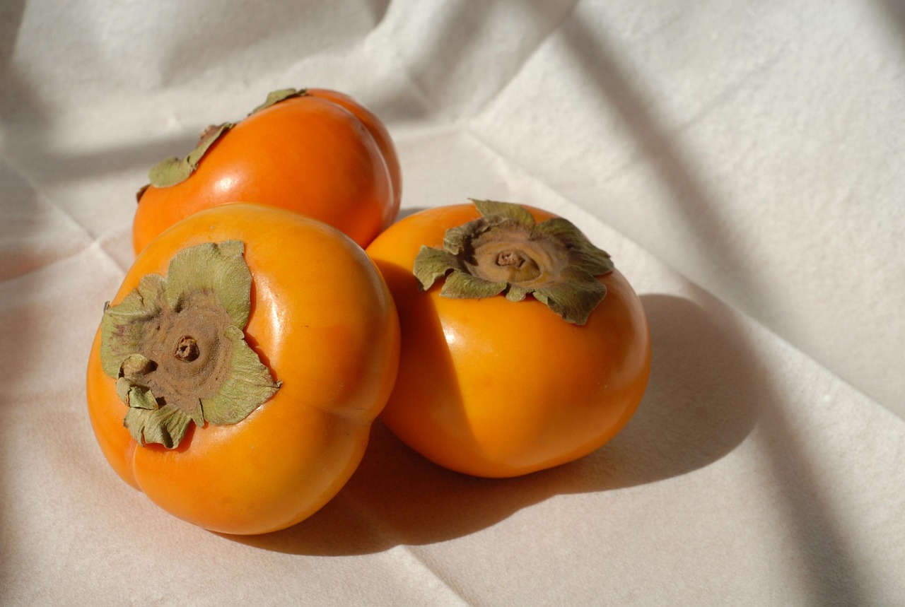 persimmons-1456186_1280
